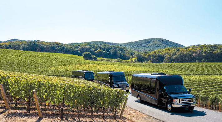 Chauffeured coaches among the vines